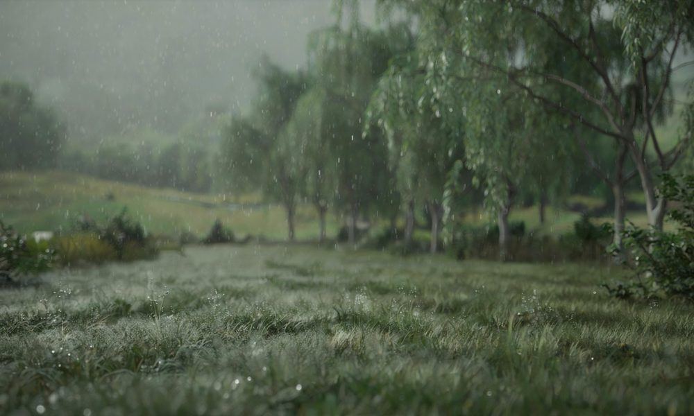 雨水冥想：润物无声的滋养