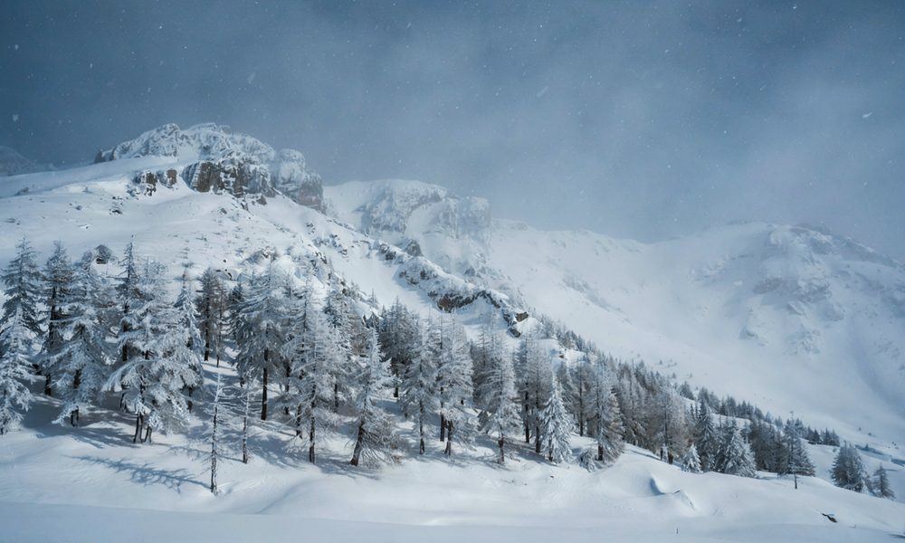 大雪冥想：天地间的沉静