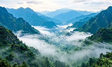白噪音与山谷:回声的宁静